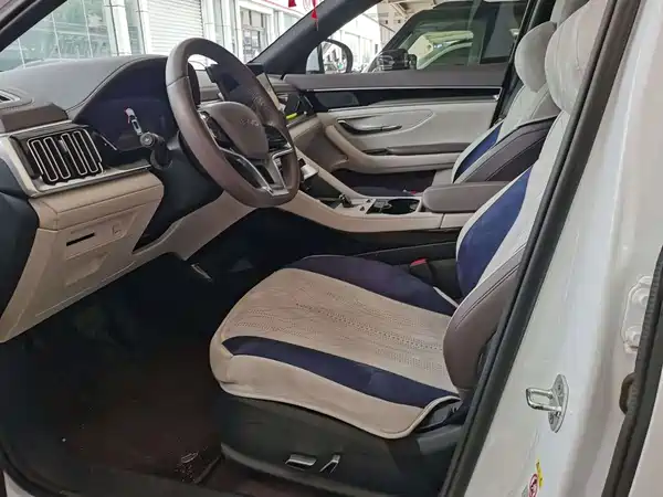 BYD Song PLUS New Energy 2025