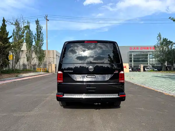 Volkswagen Metroway 2017