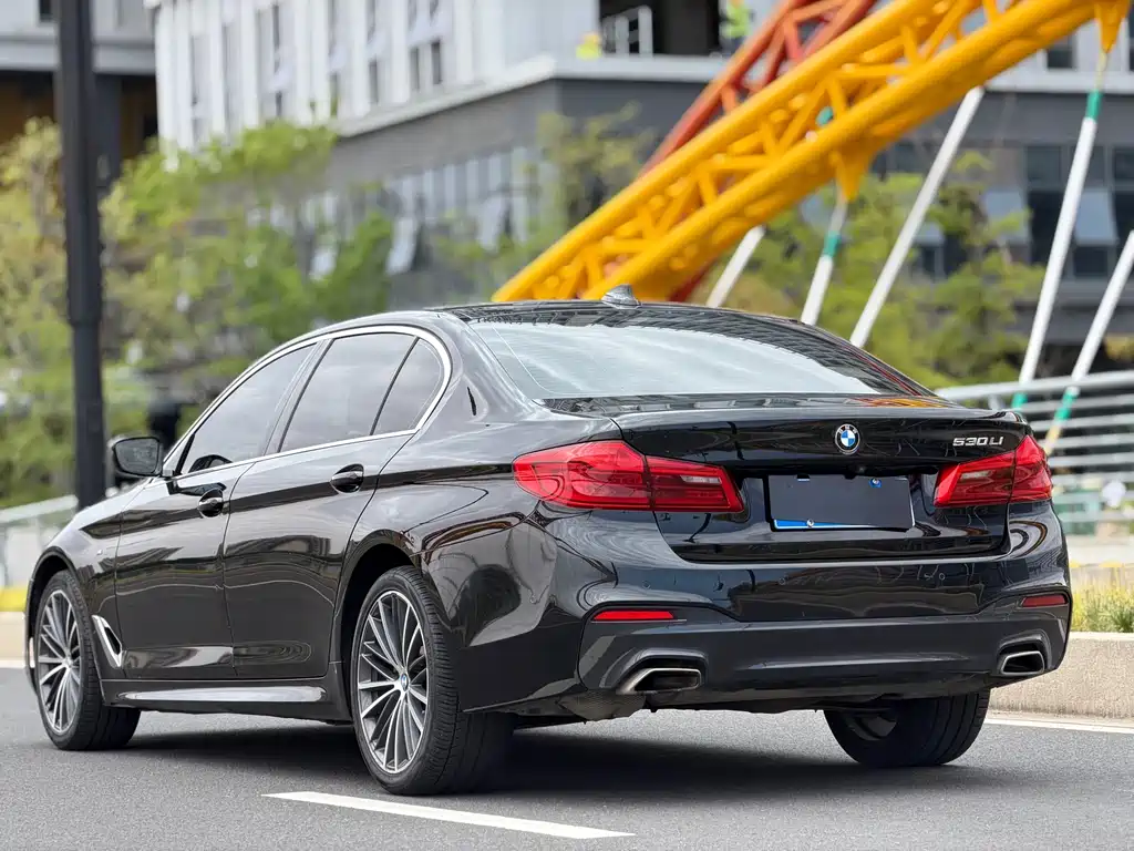 BMW 5 Series 2019 — фото 17