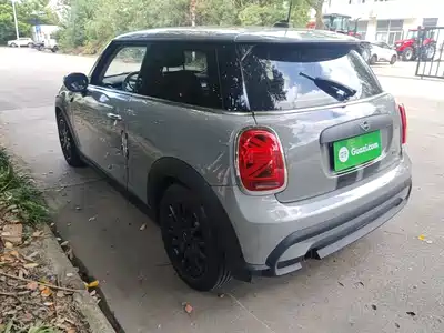 MINI MINI 2022