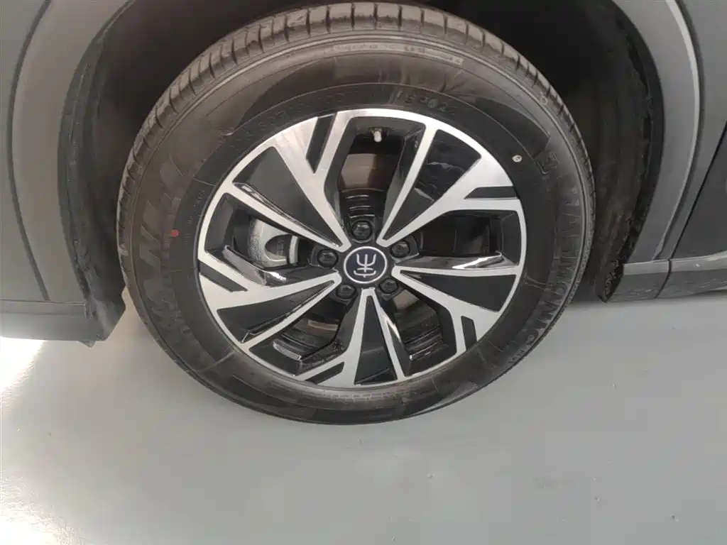BYD Pro New Energy 2025 — фото 23