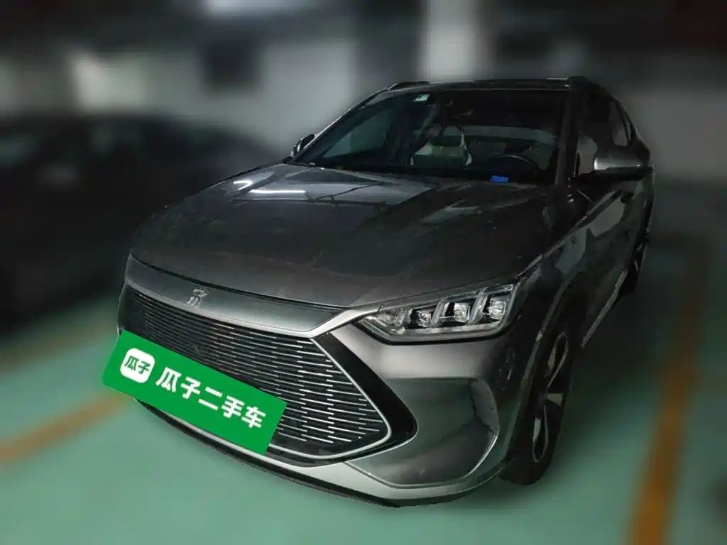BYD PLUS New Energy 2021 — фото 2