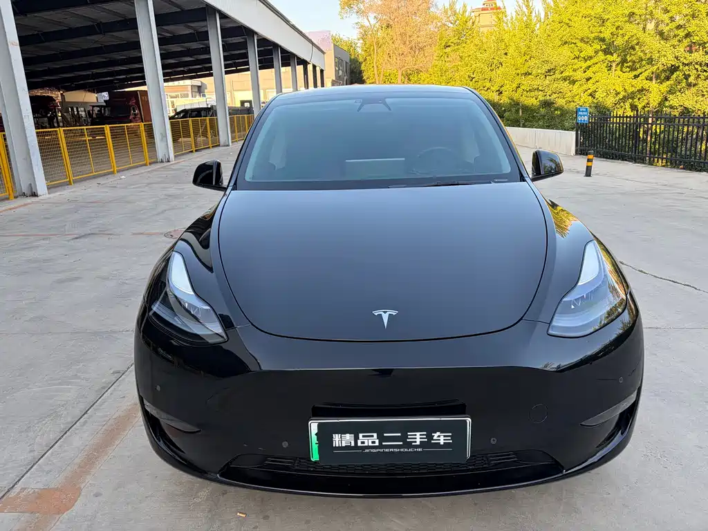 Tesla Model Y 2023 — фото 2