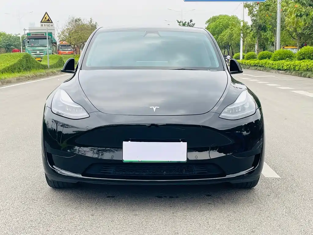 Tesla Model Y 2022 — фото 2