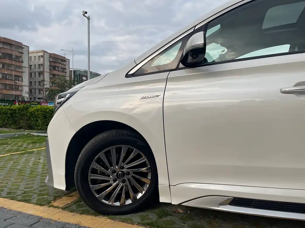 GAC Motor Trumpchi M8 2023 — фото 8