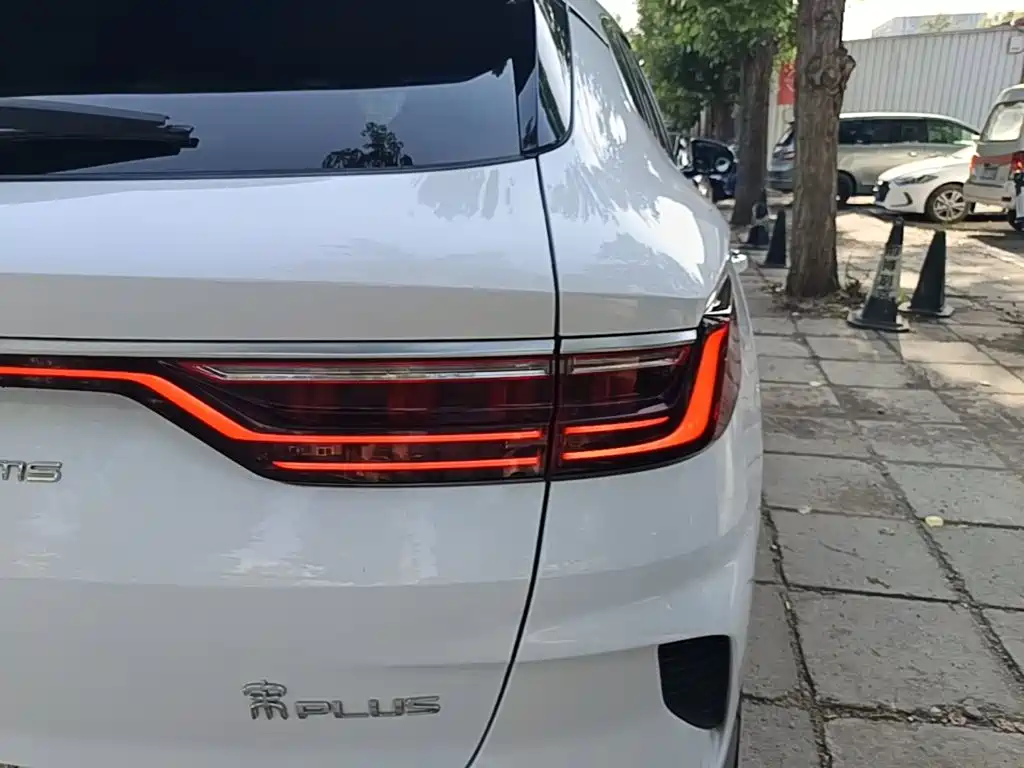 BYD PLUS New Energy 2022 — фото 8