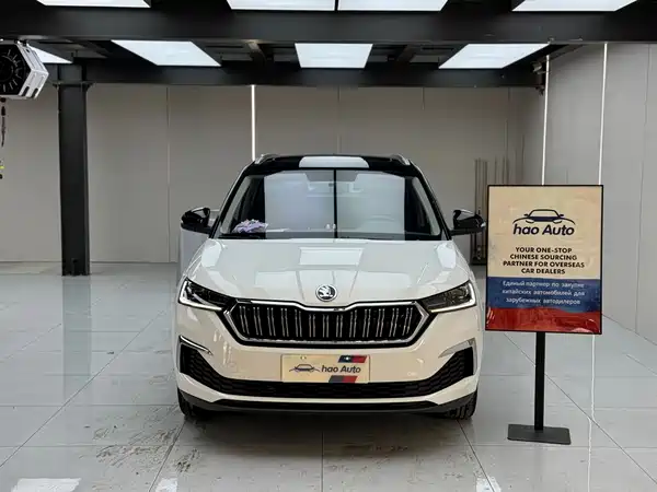Skoda Kamiq 2022