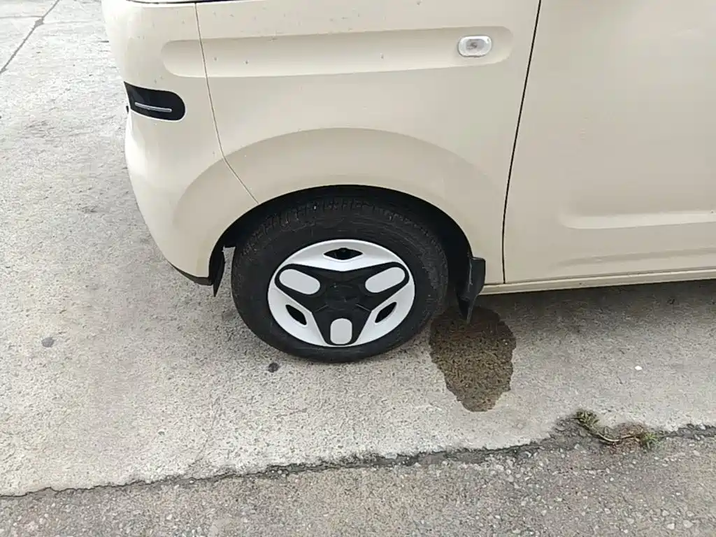 Geely Galaxy Panda 2025 — фото 23