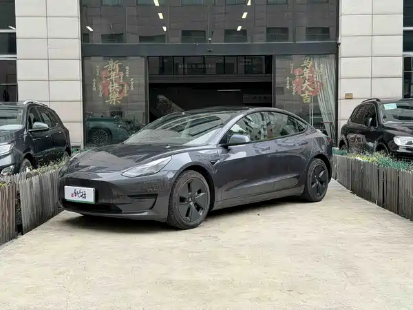 Tesla Model 3 2021