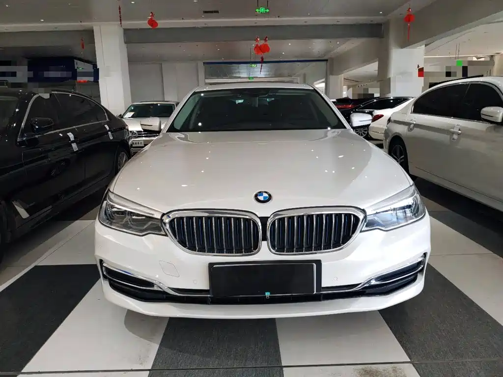 BMW 5 Series New Energy 2019