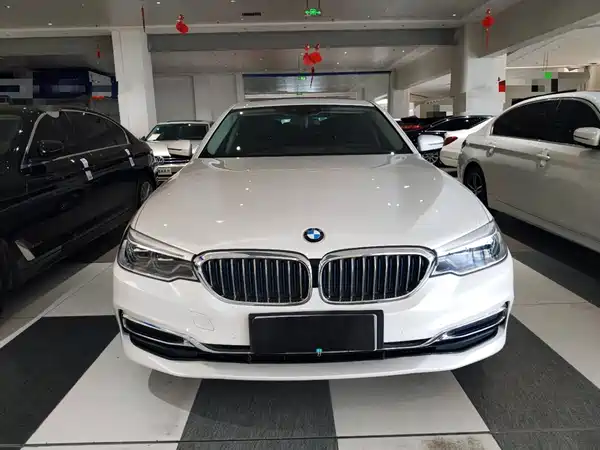 BMW 5 Series New Energy 2019