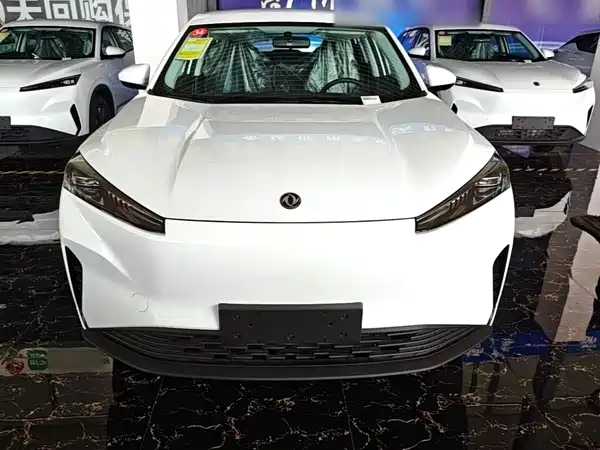 Dongfeng Aeolus SKY 2025