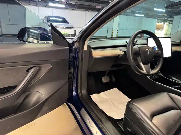 Tesla Model 3 2019