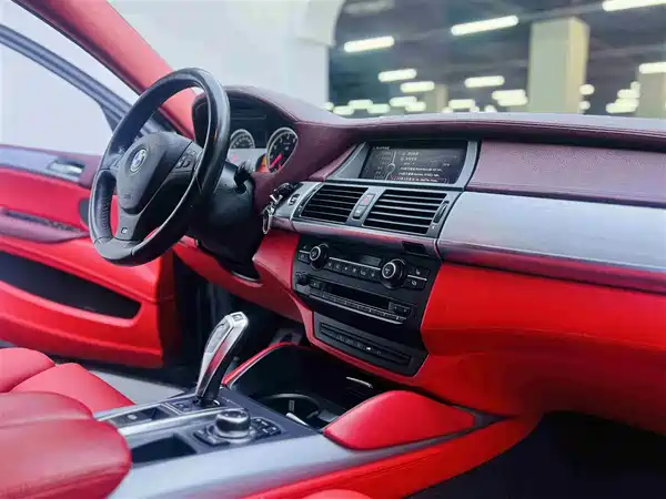 BMW X6 M 2010