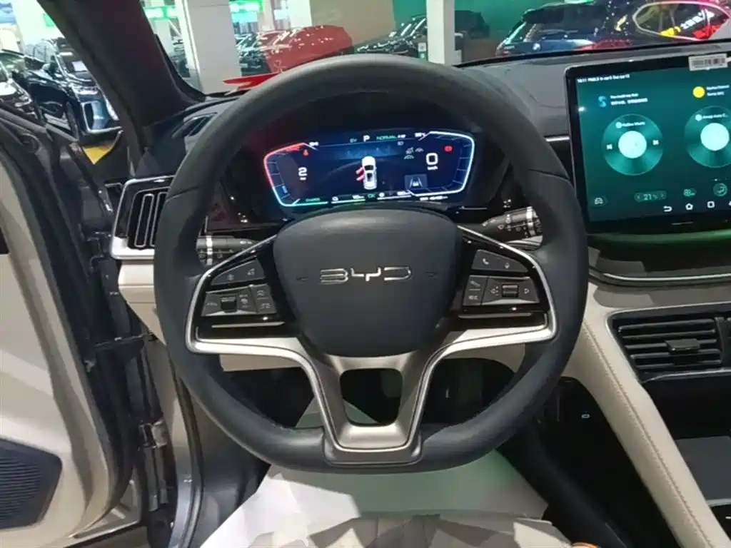BYD PLUS New Energy 2024 — фото 11