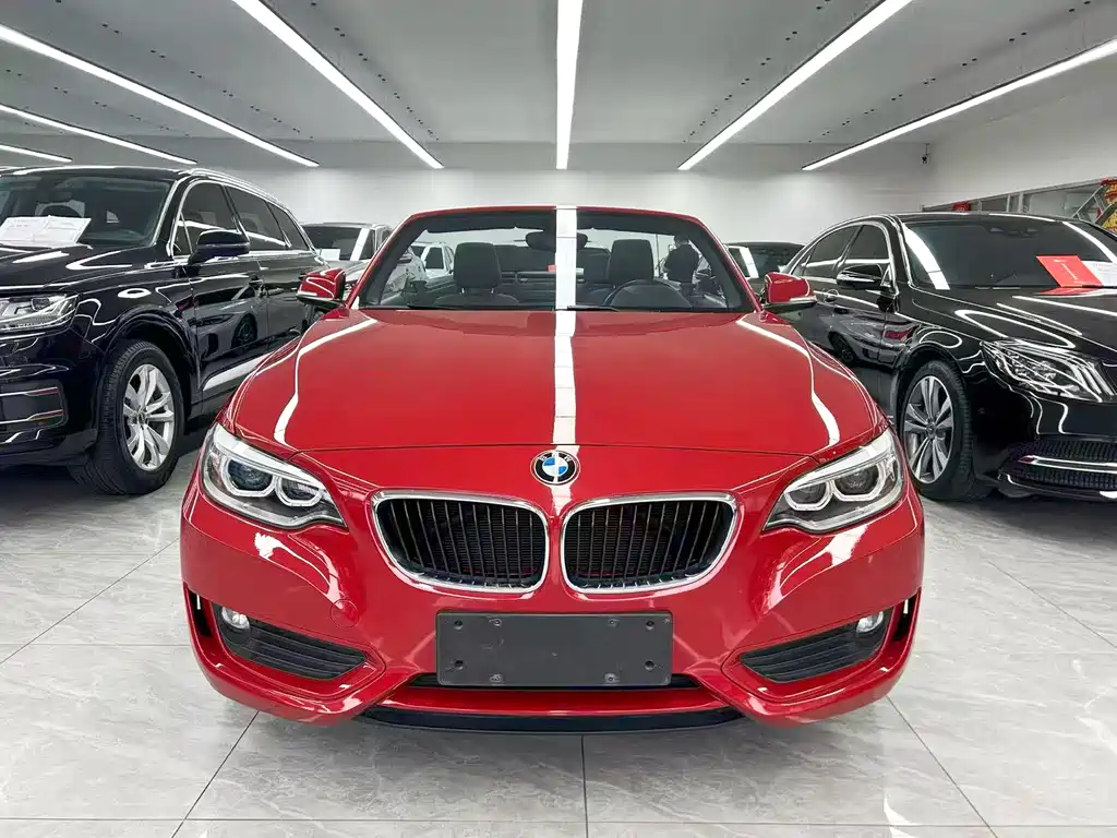 BMW 2 Series 2017 — фото 8