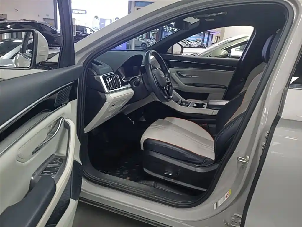 BYD PLUS New Energy 2024 — фото 16