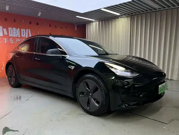 Tesla Model 3 2020