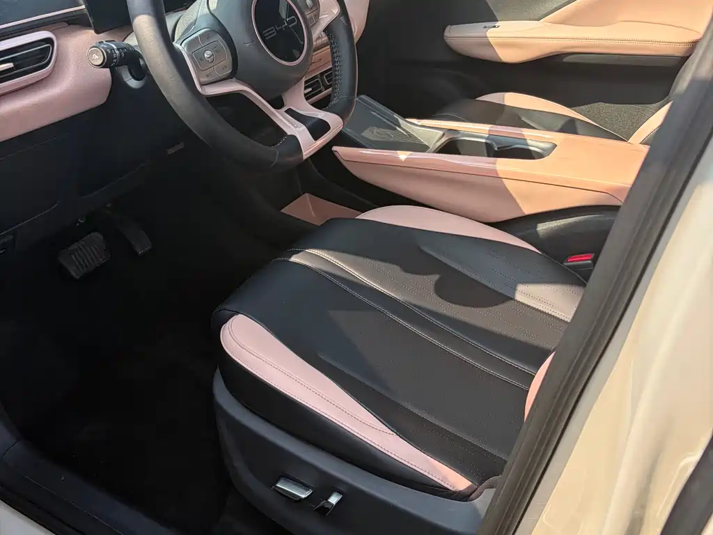 BYD Seagull 2024