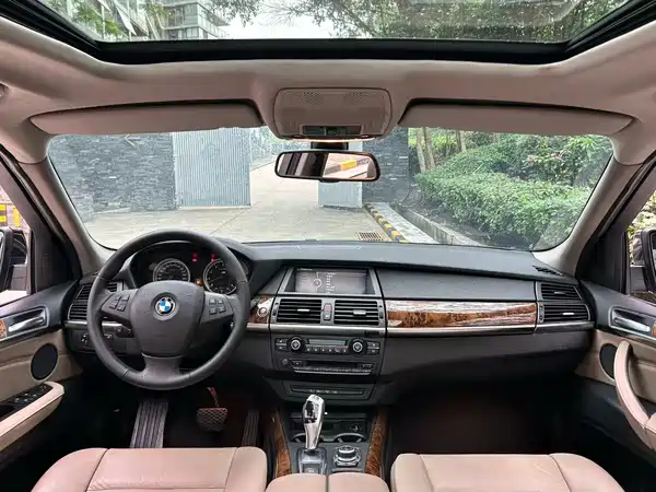 BMW X5 2010