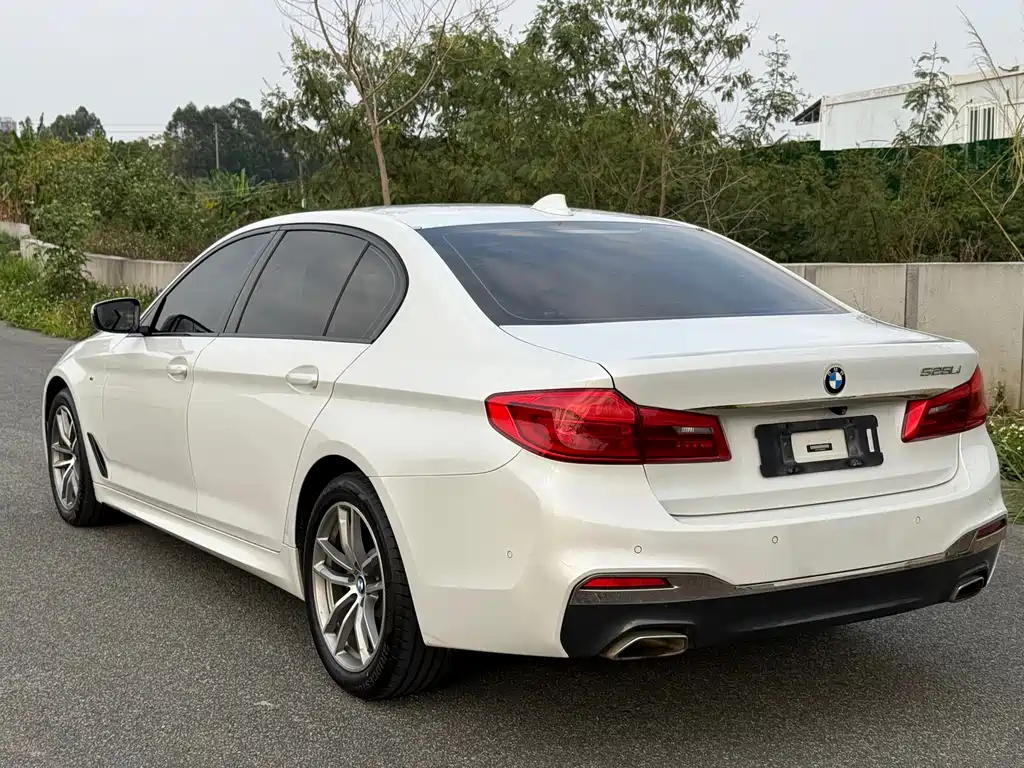 BMW 5 Series 2019 — фото 19