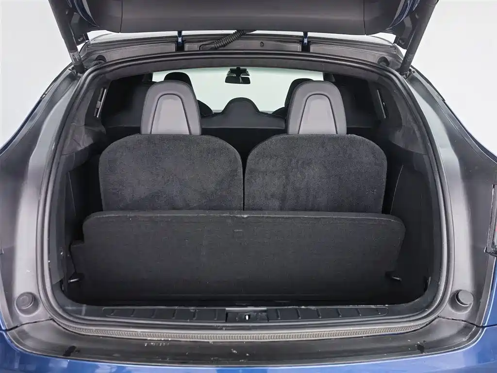 Tesla Model X 2020 — фото 16