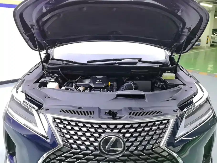 Lexus RX 2021 — фото 10