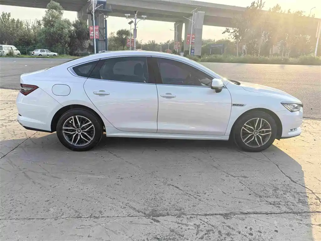 BYD Qin Pro New Energy 2020 — фото 12