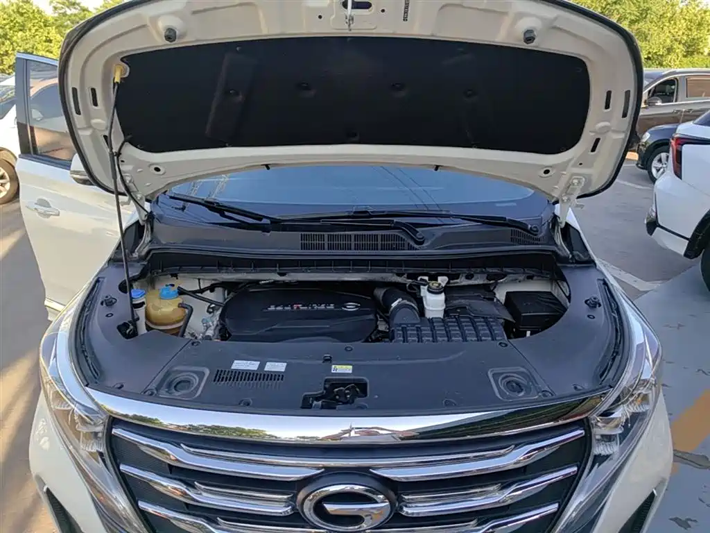 GAC Motor Trumpchi M8 2020 — фото 20