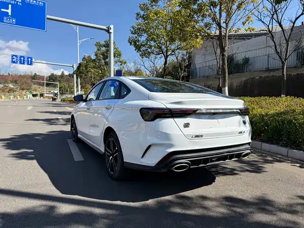 Geely Binrui 2024