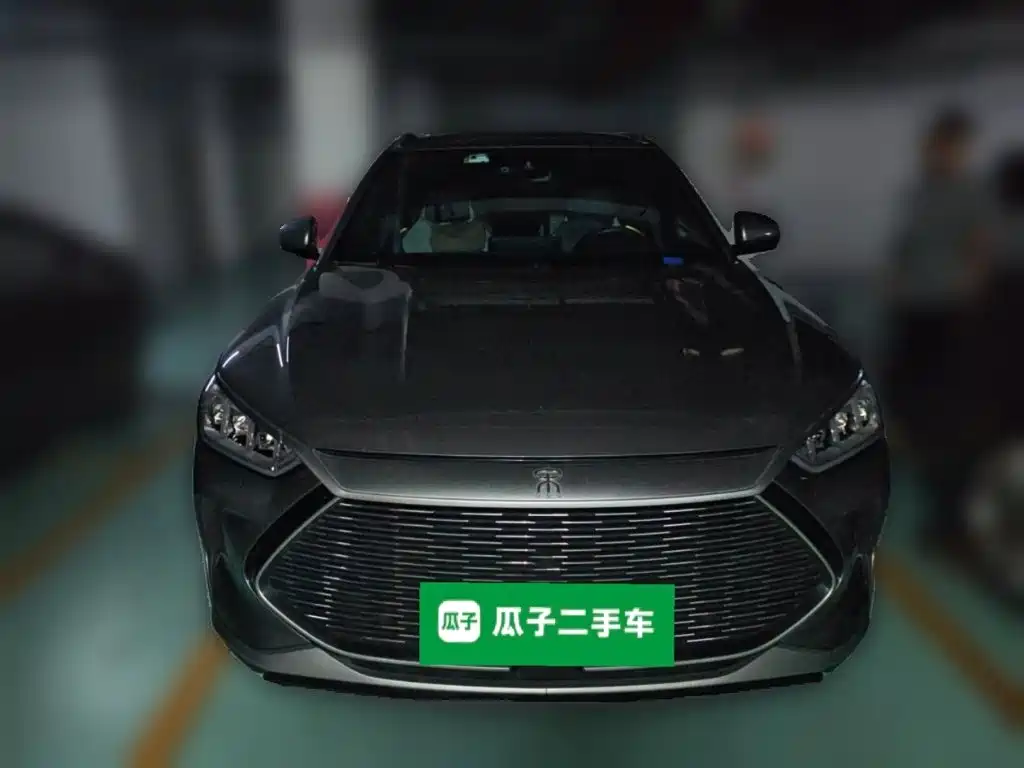 BYD PLUS New Energy 2021 — фото 3