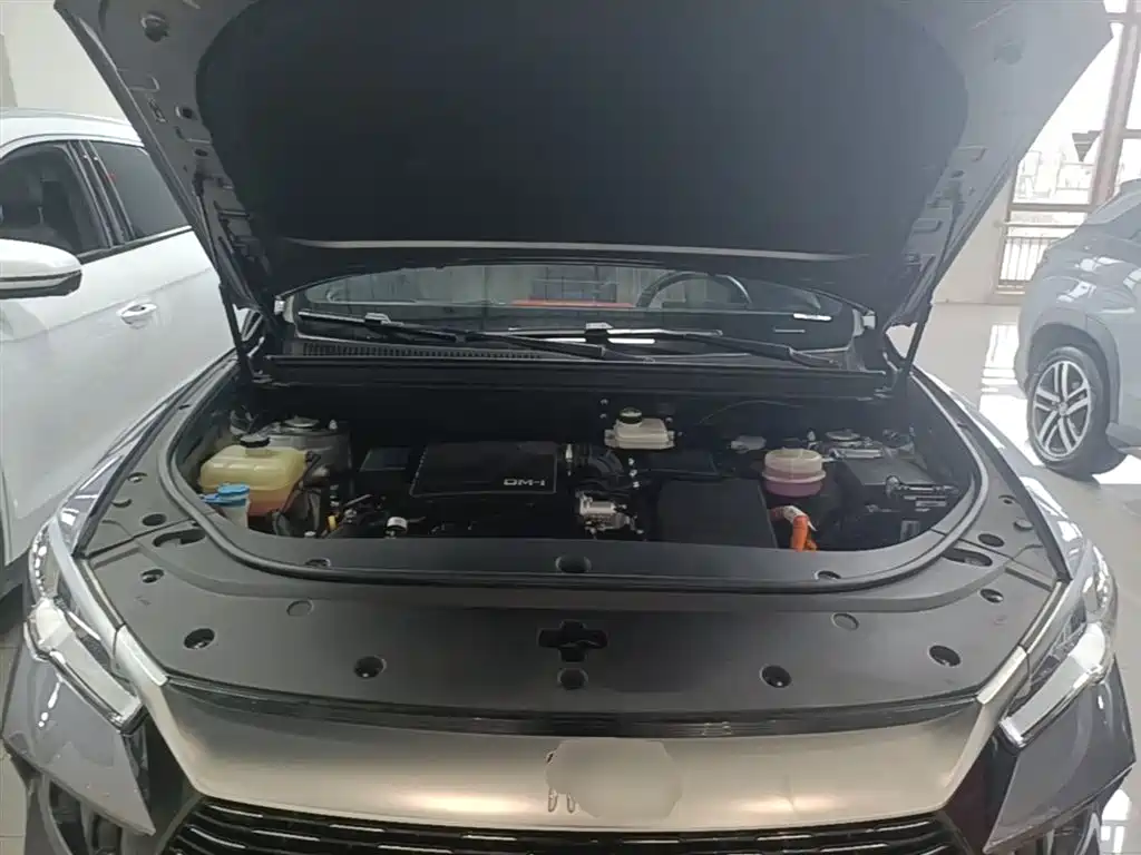 BYD Pro New Energy 2023 — фото 20