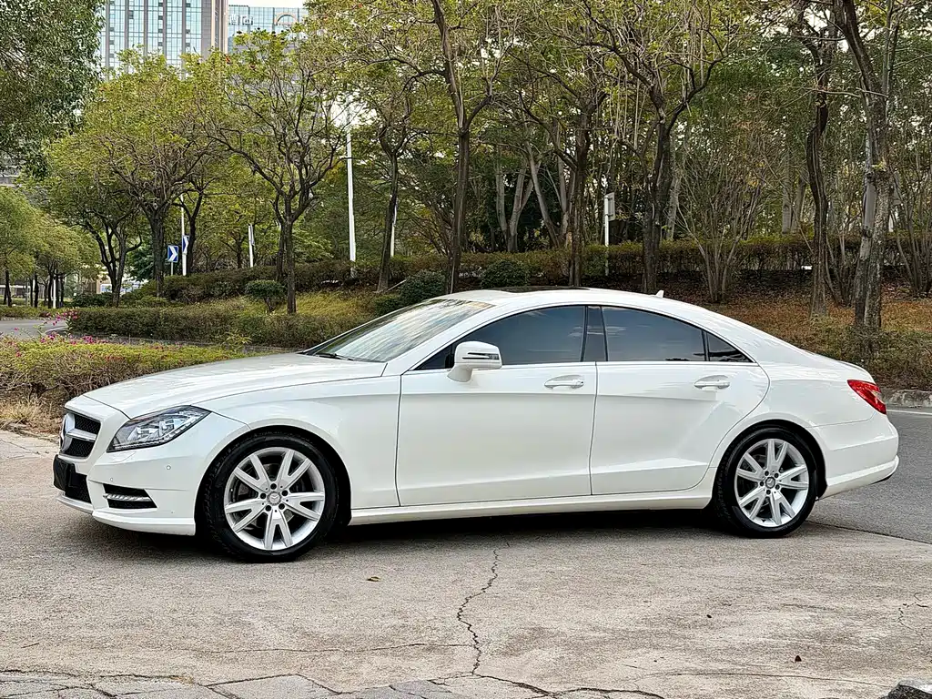 Mercedes-Benz CLS 2014 — фото 1