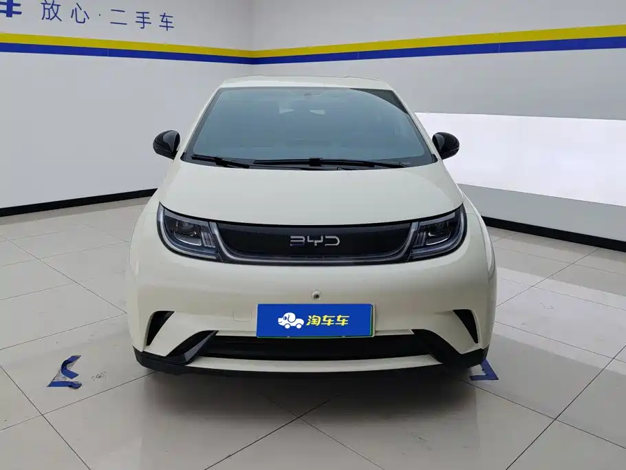 BYD Dolphin 2026