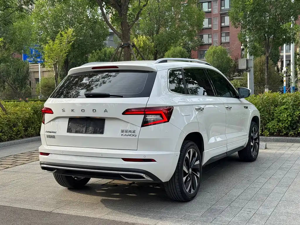 Skoda Karoq 2023 — фото 11