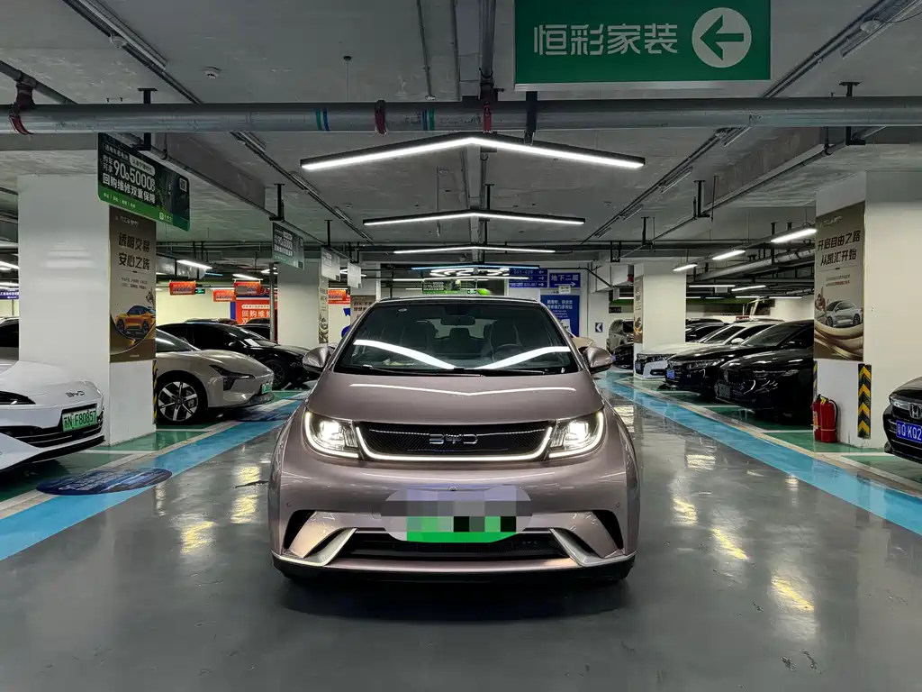 BYD Dolphin 2024