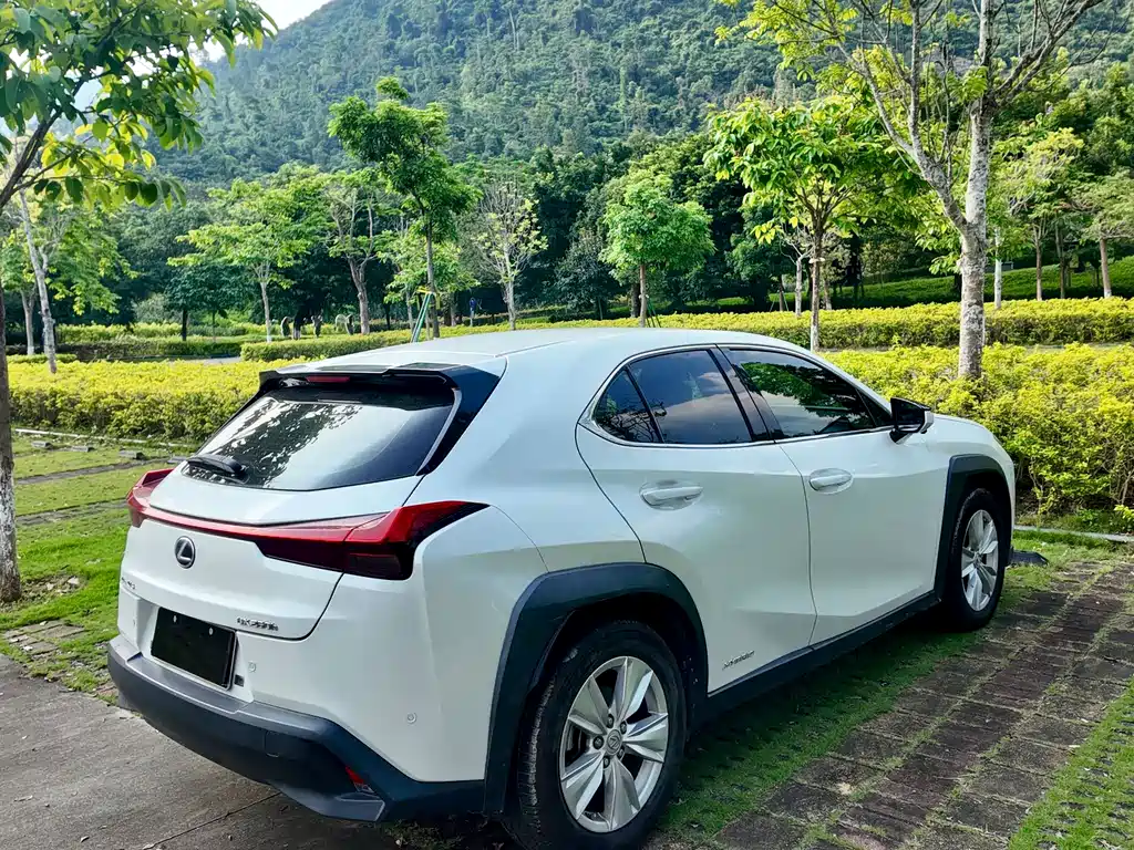 Lexus UX 2019 — фото 20