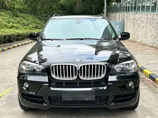 BMW X5 2010