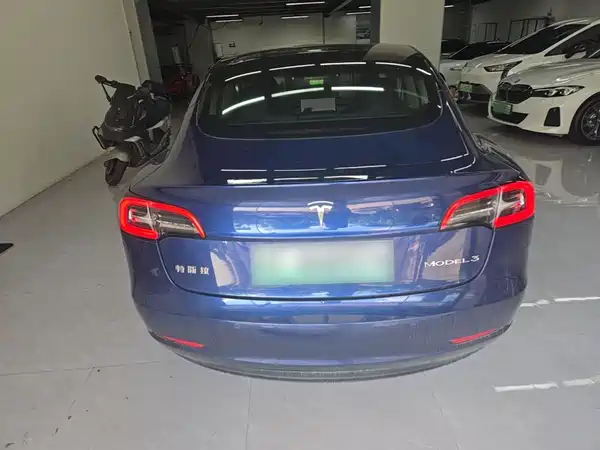 Tesla Model 3 2020