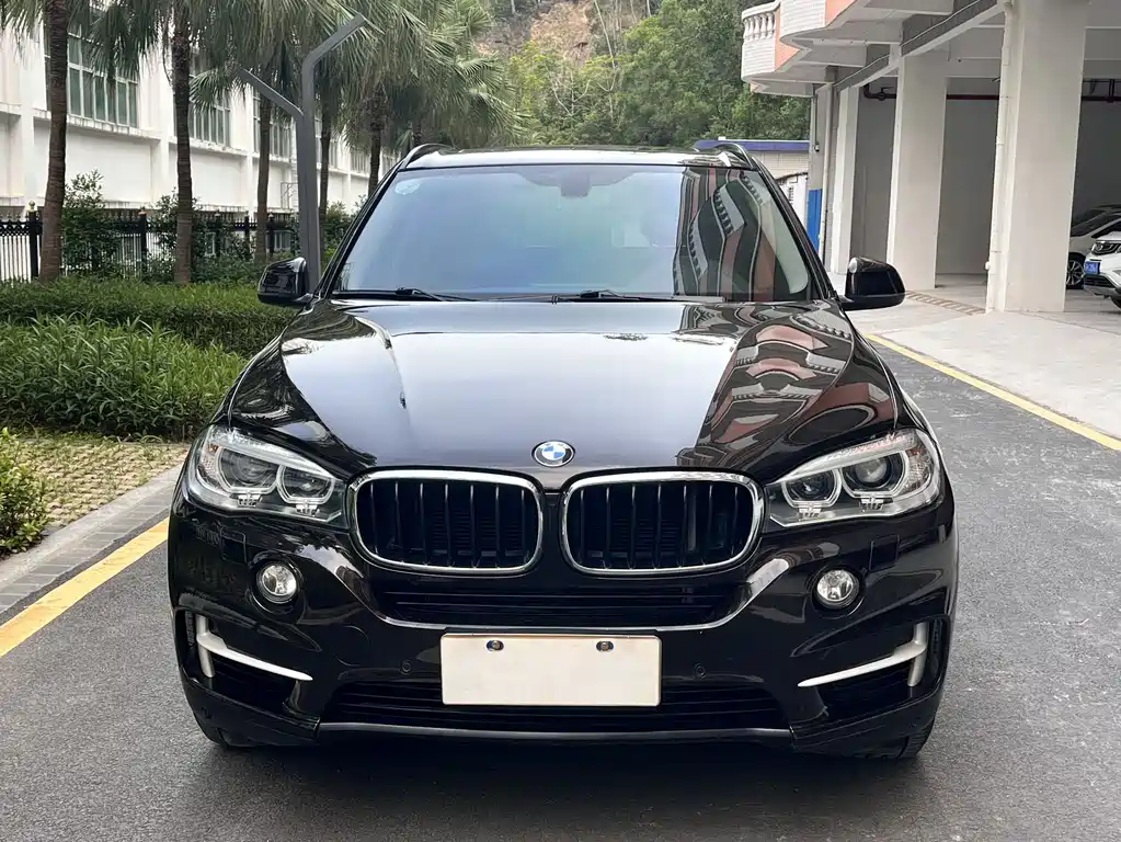 BMW X5 2016 — фото 3