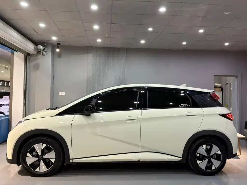 BYD Dolphin 2023