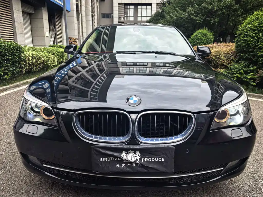 BMW 5 Series 2010