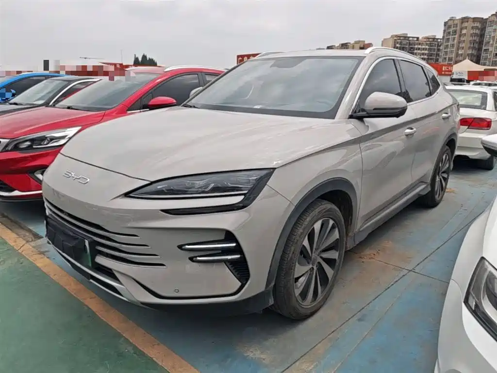 BYD PLUS New Energy 2024 — фото 2