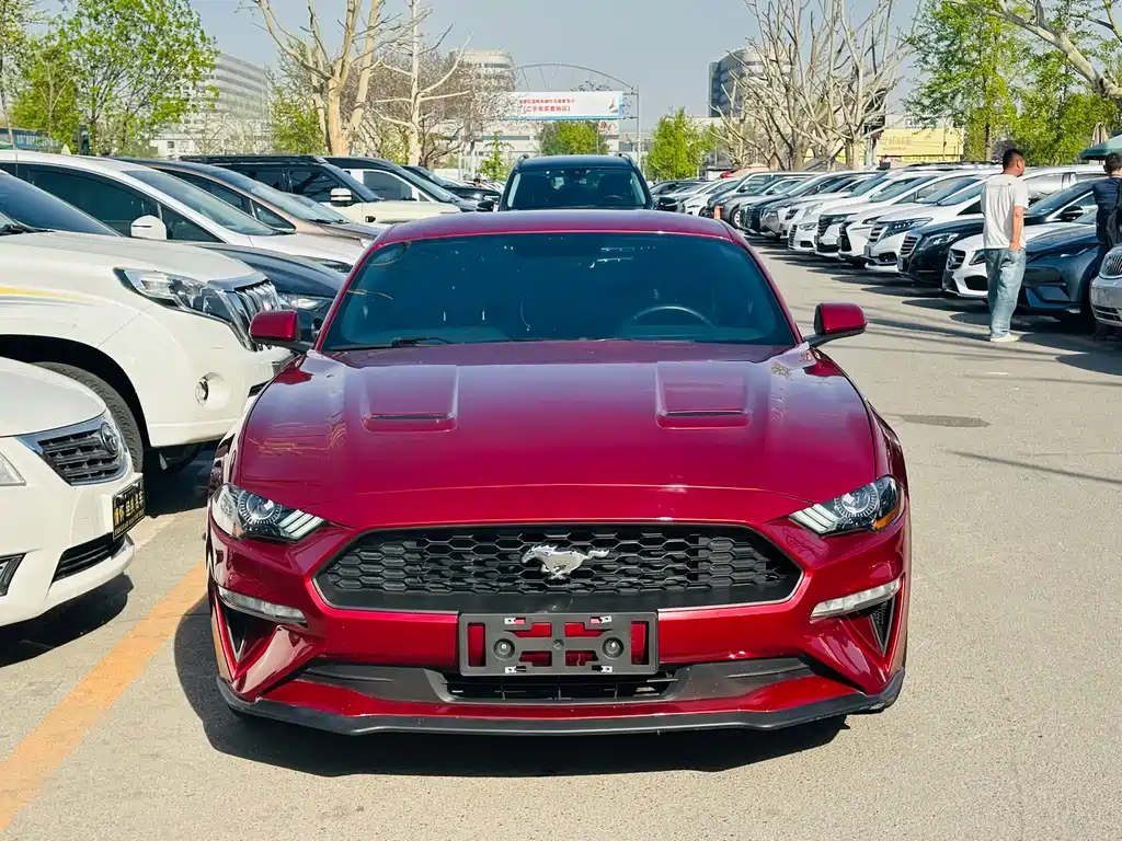 Ford Mustang 2019 — фото 2