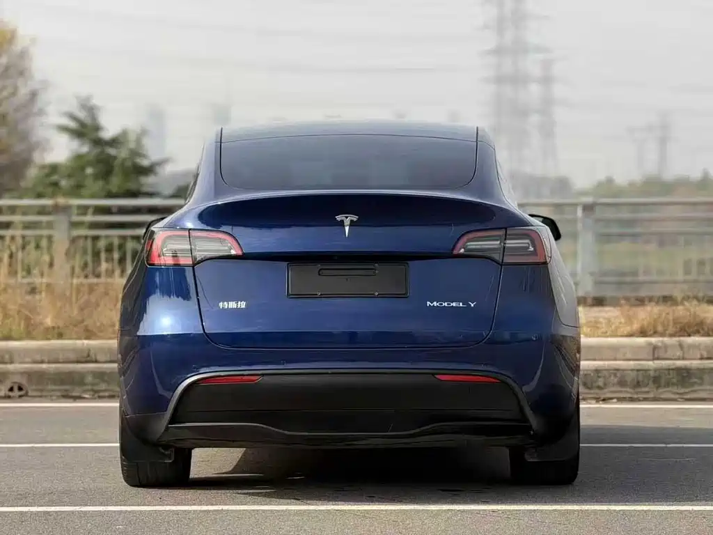 Tesla Model Y 2023 — фото 8