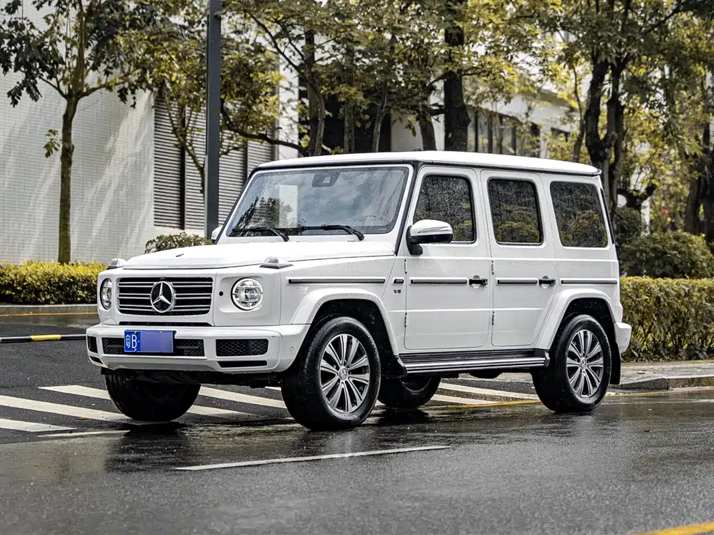 Mercedes-Benz G-Class 2019 — фото 1
