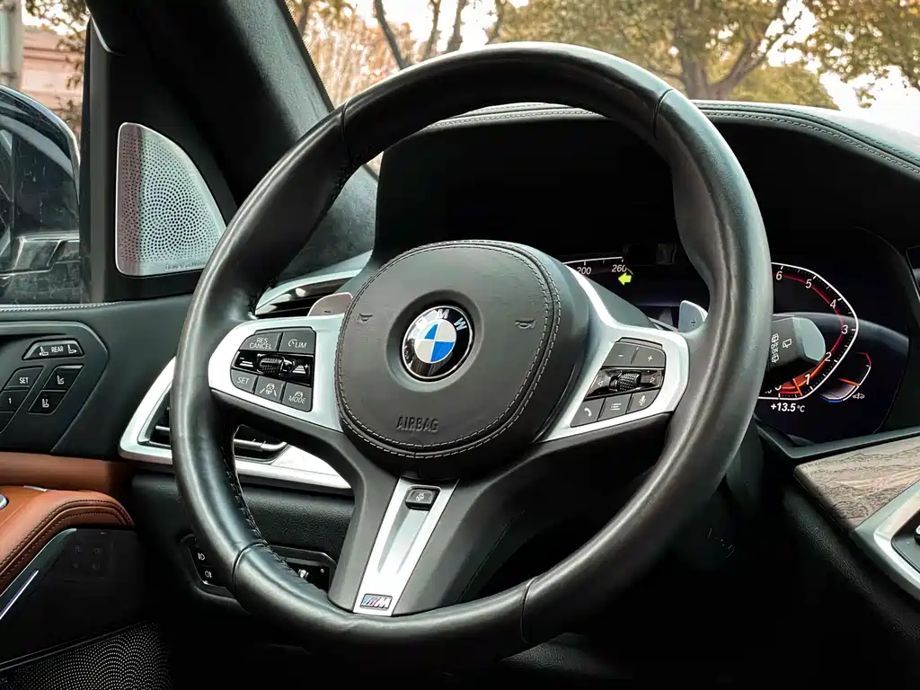 BMW X7 2020 — фото 10
