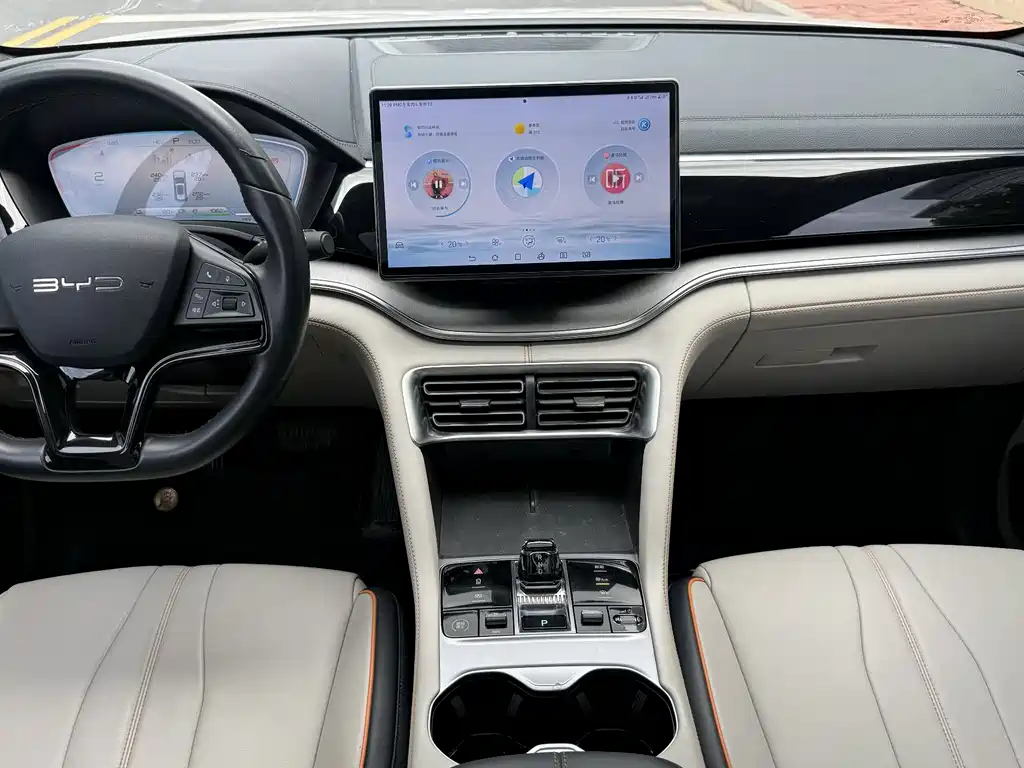 BYD PLUS New Energy 2024 — фото 13