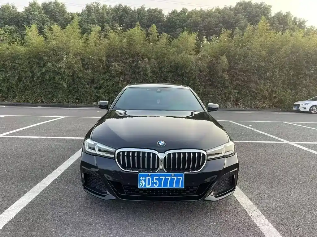 BMW 5 Series 2021