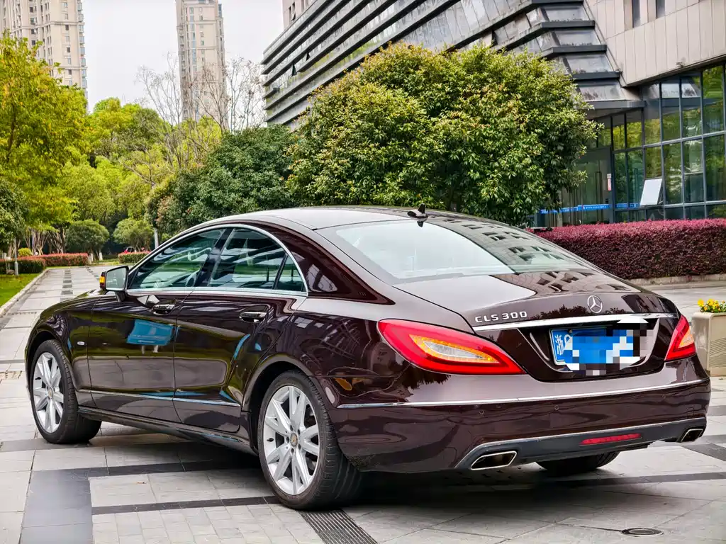 Mercedes-Benz CLS 2012 — фото 11